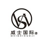 威士国际格斗游泳健身ico
