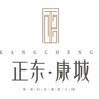 正东康城ico