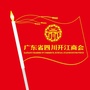 广东省四川开江商会公众号ico