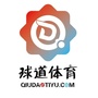 球道体育ico