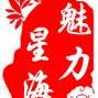 魅力星海ico