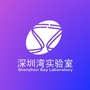 深圳湾实验室招聘ico
