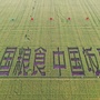 建边绿厨公众号ico