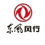 东风风行中山东兴专营店ico