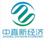 VR天下一中直之家ico