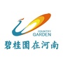 碧桂园在河南ico