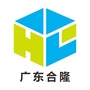 广东合隆ico
