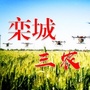 栾城三农ico
