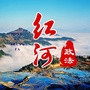 红河政法ico