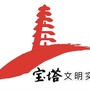 宝塔文明实践ico