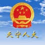 天宁人大ico