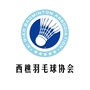 西樵羽协ico