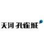 天河孔雀城ico