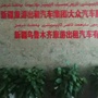 新疆旅游出租汽车集团大众公司ico