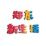 郑东新生活ico