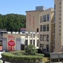 周宁县第九中学ico