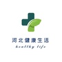 河北健康生活ico