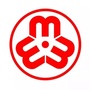 揭东区妇联ico