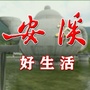 安溪好生活公众号ico