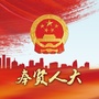 奉贤人大ico