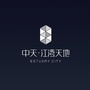 中天江湾天地公众号ico