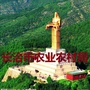 长治三农ico