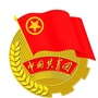 南岗共青团ico