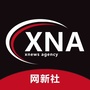 网新社XNAico