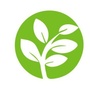 禾安五叶草ico