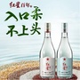 洛阳红星二锅头ico