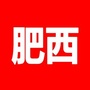 肥西掌悦ico
