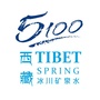 传呈5100藏冰川ico