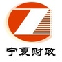 宁夏财政ico