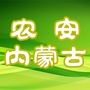 农安内蒙古公众号ico