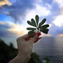 生活百科窍门小妙招ico