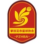 攀枝花市篮球协会ico