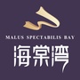 阳江海棠湾ico