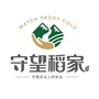 守望稻田ico