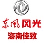 海南佳致东风风光公众号ico