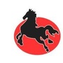 黑马小贷ico