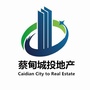 蔡甸城投地产ico