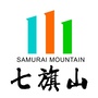 七旗山ico