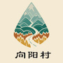 向阳村微站ico