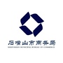石嘴山商务ico
