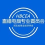 河北商经学会电商专委会ico