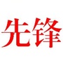 青白江区先锋村青年ico