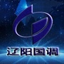 辽阳调查ico