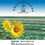 达茂旗乌克忽洞镇人民政府ico