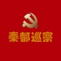 秦都区委巡察ico
