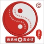仁武修真太极格斗ico